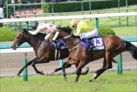 JRA天皇賞・秋（G1）ミッキーロケットは「能力そのまま」走る馬……問題はいつでも「◯◯関係」!?