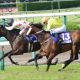 JRA新人騎手「騎乗停止6カ月?」に衝撃……猛省して先輩も慰め&「凹んでろ!」助言