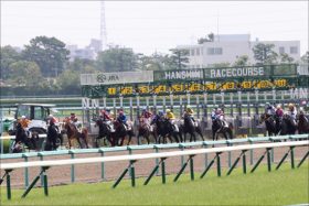 最後のチャンス！4000万円の高額馬からG1馬の弟まで。スーパー未勝利の注目馬と関係者コメントを公開！