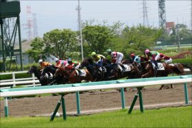 武豊グリムから2点勝負！ エルムS（G3）は関係者情報で楽勝？