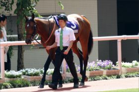 JRA新馬「2億8000万円」サトノジェネシス降臨！ 「マルペンサ最後の仔」不安は馬よりモレイラ？