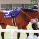武豊ジャンダルム「米遠征」断念……「迷走」感強まるも秋は得意距離で