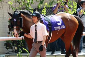 JRA「不可解シンガリ負け」ストロングタイタンの敗戦理由……心配の声殺到も……