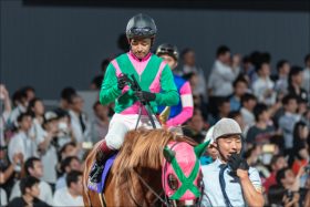 【JBC（G1）展望】JRA初開催!! 京都の砂で傑物オメガパフュームが、武豊マテラスカイが、ラビットランが躍動か