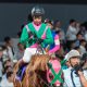JRA初開催JBCで万馬券祭り!誰もが知る馬券長者の衝撃情報で一獲千金を狙え!