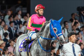 JRA「沈みがち」テイエムジンソクの再起は!? JBCクラシックがラストチャンスか
