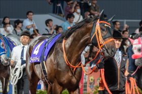 【東京大賞典（G1）展望】2018年ルメールがゴールドドリームで締める!? ケイティブレイブらと今年最後の聖戦！