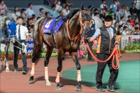 JRAチャンピオンズCゴールドドリーム回避……突然のアクシデント