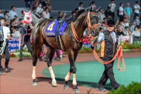 【南部杯（G1）展望】JRA「3強」超新星ルヴァンスレーヴが王者ゴールドドリーム、復活ノンコノユメに襲いかかる最強決戦！