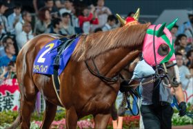 JRA「勝ったも同然」!? フェブラリーS（G1）2着ケイティブレイブが長岡禎仁と新境地へ!? 藤田菜七子と対決も!?
