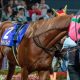 【阪急杯(G3)展望】JRAダイアトニックVSフィアーノロマーノ「1400m」スペシャリスト対決か!? 高松宮記念(G1)の有力馬に浮上するのは果たして?