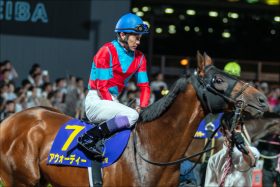 武豊の相棒アウォーディー死す……「遅咲きのダート王」勇姿はもう見られず