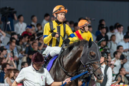 【南部杯(G1)展望】「王者」ゴールドドリームらG1馬VS「3連勝」新星アルクトス! 秋のダートG1開幕戦にC.ルメール騎手「ビッグチャンス」の画像2