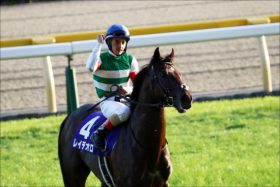 C.ルメール騎手「何故」G1を勝てるのか？元JRA騎手・佐藤哲三氏が語る「日本人騎手のモロさ」と外国人騎手が勝てる理由