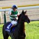 【エリザベス女王杯(G1)展望】JRA「外国人騎手祭」女王モズカッチャンVS勝負リスグラシューにルメール騎乗ノームコアが襲いかかる!