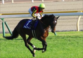 JRA「武豊後継」川田将雅”外国人天国”阻止へ！ アルアイン「中距離トップクラス」が久々マイルでも「追い風」