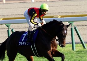 JRAマイルCS（G1）アエロリット不要の「小点数」勝負！ 強力「現場ネタ」から導いた「超・勝負馬」とは