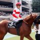 【函館スプリントS(G3)展望】JRA「仕切り直し」ダノンスマッシュ勝利必須! あの「実績馬」と一騎打ちか