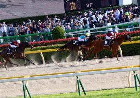 ミカエル・ミシェル「御褒美」がすごい……藤田菜七子と再戦も間近