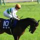 JRA有馬記念(G1)キセキが奇跡の回復!? 栗東から届けられた有力馬情報大放出!