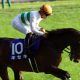 JRA有馬記念(G1)キセキが奇跡の回復!? 栗東から届けられた有力馬情報大放出!