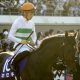 JRA有馬記念(G1)キセキが奇跡の回復!? 栗東から届けられた有力馬情報大放出!