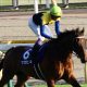 JRA武豊より川田将雅が「秋G1」で美味すぎる!?”外国人旋風”が吹き荒れる中、馬券圏内「100%」継続中の安定感
