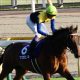 JRA宝塚記念レイデオロ復活に自信! 美浦から有力情報ゲット!