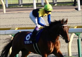 JRA大阪杯（G1）「復調」マカヒキがあっと言わせる!? 岩田康誠3度目の正直も