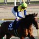 JRA岩田康誠「悪癖復活」であわや騎乗停止!? 天皇賞・春(G1)ユーキャンスマイル「イン突き」期待も、よぎる”大スランプ”の影……