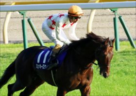 ジャパンC（G1）「ミッキーロケット回避」JRA戸崎圭太×音無厩舎「放馬除外」からアクシデント多発