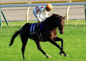 JRA「和田竜二17年ぶりG1」ミッキーロケット引退。最後まで”らしさ”見せ