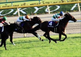 JRA「支配者」ノーザンファーム「G1・16勝」で完全制覇！ 最強牧場の独壇場に待ったをかける社台ファームの「新兵器」とは
