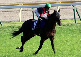 JRA勢躍動!?『香港国際競走4レース』展望！ ルメールディアドラ、サングレーザーに立ちはだかる昨年覇者、そしてリスグラシューらは……