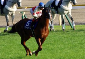 【中山記念（G2）展望】JRA・G1馬5頭！ 「ドバイ前哨戦」スワーヴリチャードら超豪華決戦