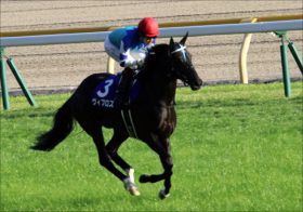JRA「今度こそ引退」大魔神佐々木主浩の愛馬ヴィブロスのドバイターフ（G1）「3年連続好走」はあるのか
