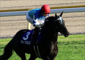 JRA馬主佐々木主浩氏「最後に期待」ヴィブロス香港マイルで躍動!? ワンターン競馬なら強豪相手でも？