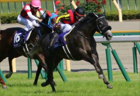 JRA安田記念（G1）「暴走再び!?」アエロリット「余力」はあるのか。戸崎圭太「G1存在感」が後押し？