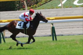 JRA阪神JF（G1）ダノンファンタジーから波乱決着も！「極秘ネタ」の「4点」で「穴馬券」をゲット!?