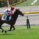 エプソムC(G3)強気の「2点」勝負! ダイワキャグニー無視……「極秘ネタ」から「好配当」狙い!!