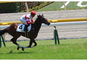 武豊シェーングランツから「３連単6点」チューリップ賞（G2）は強力関係者情報でウハウハか？