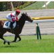 JRA藤井勘一郎「即重賞制覇」も!? ロードカナロアの血ブランノワールがチューリップ賞(G2)をかき乱す!