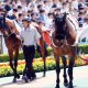 JRAデアリングタクト有馬記念(G1)回避も、あの馬が話題を独占! チャンピオンズCも「元々使う予定」…… 世紀の一戦さえまさかの調教替わり?