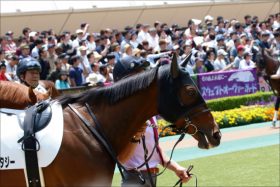 JRA松田大作騎手「事故」乗り替わりに一時騒然……昨年「無免許運転」で摘発も「原因」は調教師による注意義務怠慢
