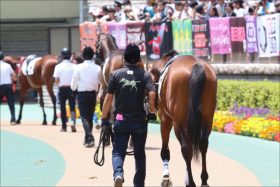 JRA厩舎スタッフ「SNS炎上」多発の問題……角居勝彦逮捕、オジュウチョウサンで次々と……
