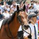 JRA「海外招待馬」急増のワケ……裏には日本競馬ファンの財布を狙う現地主催者のしたたかな野望