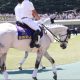 ※出走取消 武豊「ヴィクトワールピサに似てる」大物絶賛も説得力半減!? 天才騎手とドバイW杯を制した名馬との数奇な運命