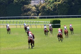 JRA角居勝彦逮捕で「78頭全馬転厩」発表、引退確定か……「臨時移籍」も厳しい裁定確実、受け入れ先は「あの厩舎」