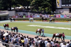 JRA新潟2歳S（G3）を三連複3点で狙い撃ち！　究極の関係者情報で選び抜いた「4頭」