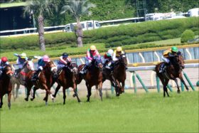JRAアイビスSD（G3）「3点勝負」関係者情報でオールオッケー!? 人気馬はバッサリか